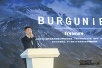 创新璀璨，宝格绿携新品地毯闪耀2024中国家居新品潮流趋势大典！