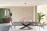 让春天住进家里