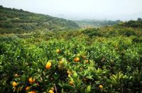 家庭最好的取暖方式，冬季季节家庭取暖采用最佳方案