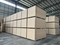 优品无惧“内卷”，雪松树板材以ENF陪伴健康生活！