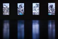 杨泳梁个展｜数字影像世界中 再现“消失的海岸”