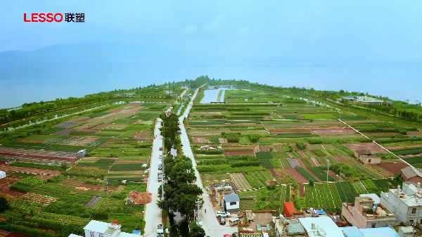 大国工程丨构建绿色生态,联塑为人居环境改善助力添彩