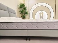 五一家装季，1280元东宝床垫火爆来袭！