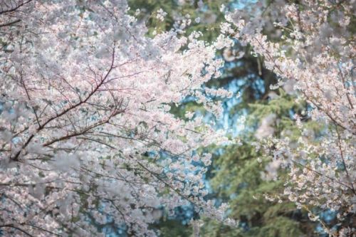 美涂士:墙面发霉怎么办?真净味帮你一招搞定!