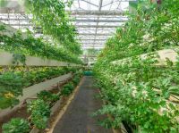 农业产业链布局拓展，联塑管道助力垂直农业产业链完善