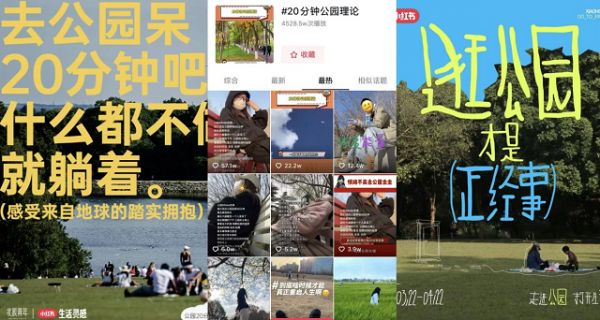 真的管用！美绮软装把“公园20分钟效应”带进室内，让家更放松