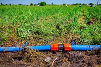 农业强基，联塑节水灌溉解决方案助力产业升级