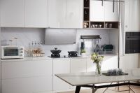 实力领跑行业，万家乐联合制定的吸油烟机净烟效果标准发布