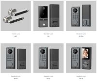 「葵花专访」之皇家金盾：从国内到海外，开启全球化新征程