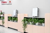 小体积、大能量，万家乐携手中国国家跳水队开启奥运征程