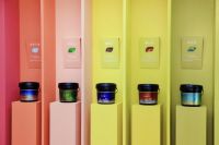 三棵树亮相2024文旅国际峰会，共探文旅酒店业发展新思路