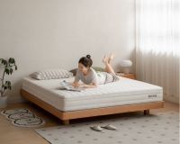 深度对话源氏木语洪洋，探索“新实木主义”创新之路