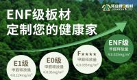 伟业全屋定制，环保与美学并重