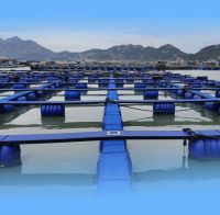 传统养殖渔排遭淘汰，联塑农业如何推动养殖模式新升级？