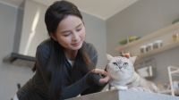 《城室人》第八期即将开播！走进都市青年与宠物的温馨日常