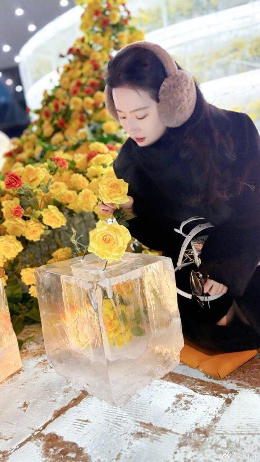 @刘亦菲:哈尔滨不只有冰冻黄玫瑰,还有超多惊喜和浪漫