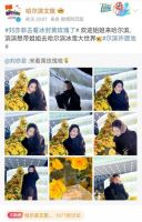 @刘亦菲：哈尔滨不只有冰冻黄玫瑰，还有超多惊喜和浪漫