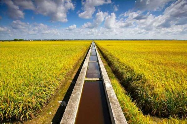 联塑升级灌溉技术,推动现代农业可持续发展