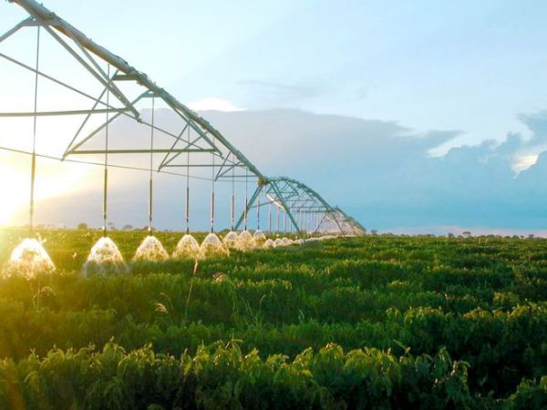 数字化农业中的联塑角色:智能灌溉助力农田水资源精准管理