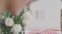 德力西电气见证“宠爱有家”，减法哲学还原本色生活
