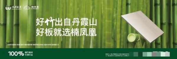 万亿绿色经济风口：33岁楠凤凰用精竹板书写“中国竹方案”