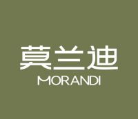 莫兰迪抗菌窗帘|抗菌率高达99.9%，健康家居首选窗帘