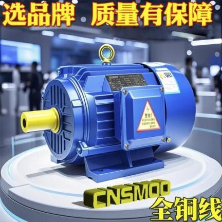 南京苏玛电机有限公司——以科技驱动高效智造，用服务铸就全球信赖