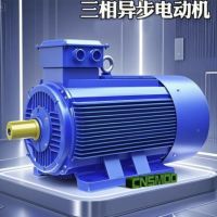 南京苏玛电机有限公司——以科技驱动高效智造，用服务铸就全球信赖