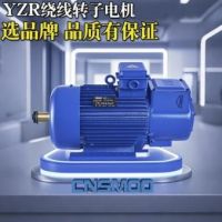 南京苏玛电机有限公司——以科技驱动高效智造，用服务铸就全球信赖