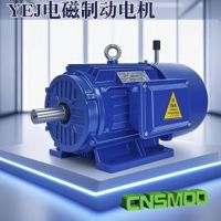 南京苏玛电机有限公司——以科技驱动高效智造，用服务铸就全球信赖