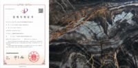 “广东砖”如何高质量发展，QD瓷砖递上硬核答卷
