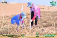植树10年 幸福同行丨赴一场跨越十年的绿色之约 —— 左右沙发腾格里沙漠种树植心10周年活动今日启程！