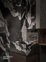 全空间的黑色解决方案：让家每一处都恰到好处