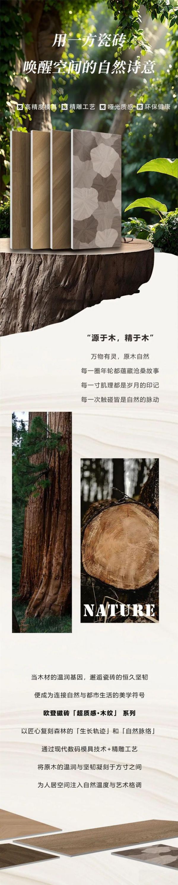 新品上市 | 陶瓷一线品牌欧登磁砖超质感·木纹，用一方瓷砖，唤醒空间的自然诗意