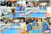 法恩莎萌宠洗花洒惊艳亮相世宠会！2025狗狗全运会高燃收官