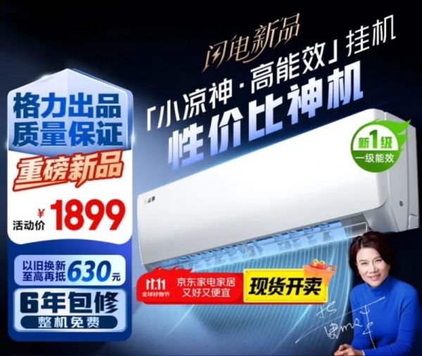 格力 “小凉神” 破局:精心策划的 “价值战” 如何重塑空调市场格局