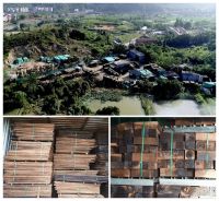 古森红木：精品红木家具专家的匠造之路