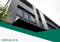 蒙娜丽莎，点石成金