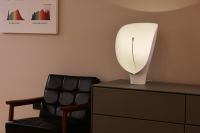 追光同行｜立达信全国首家健康光生活体验店正式启幕