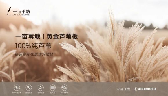 100%纯芦苇!“一亩苇塘”黄金芦苇板打造家居产业绿色材料新样本