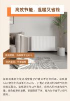 明装暖气壁挂炉选购指南，菲斯曼A1JF壁挂炉实力出圈！