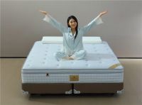 睡莲家居：秦洪金掌舵下的十年芳华，匠心传承与创新领航的时代交响