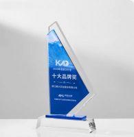 从年度奖项看行业格局：浙江美大获奖背后的市场逻辑与趋势