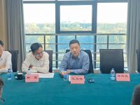 城市更新 引领未来|紫荆花新材料集团与上海蜂仝科技达成战略合作