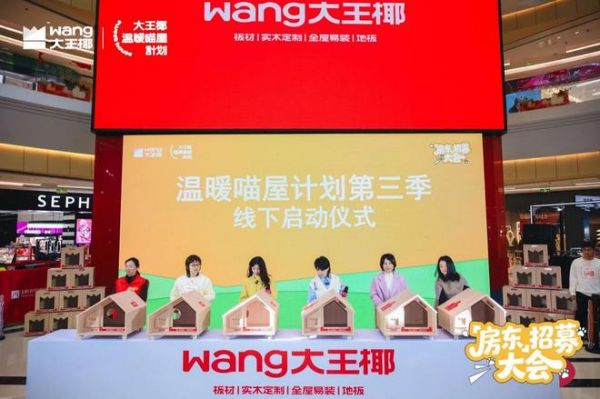 一份温暖的公益“年货”:解读大王椰“温暖喵屋计划”的IP化生存之道