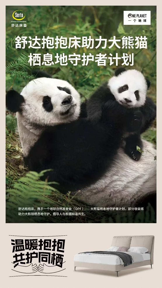 温暖抱抱共护同栖，舒达助力大熊猫栖息地守护巡护与环境恢复