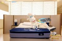 飞儿乐团空降舒达惊折季，金曲入梦带你躺进春天