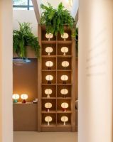 2026设计上海 | 一粒种子，认出了它的春天