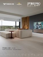 23°原石pro｜重塑经典元素，洞见不凡美学