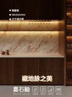 藏地脉之美，筑质感人居 | 真石釉新品地脉岩